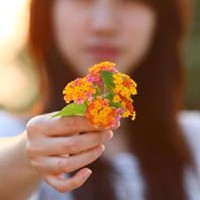 ������ռ����Ӿ� �뻨�йص�Ψ��ͷ��