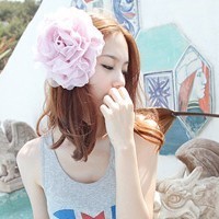 ������ռ����Ӿ� �뻨�йص�Ψ��ͷ��