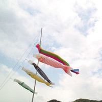 ���˺ϼ�Ůͷ Ů���Ѳ��ѹ������Լ���