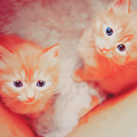 ��ɫŮ��ͷ�� ����Щ��ůͷ�������������ʹ