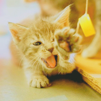 ��ɫŮ��ͷ�� ����Щ��ůͷ�������������ʹ