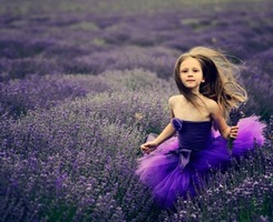 ��Ҫ������ͼ���Ի� ���Ǵ�����ŷ����ͷ��