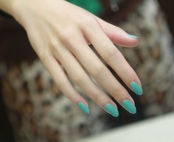 ��Ҫ������ͼ���Ի� ���Ǵ�����ŷ����ͷ��