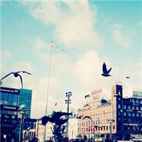 ������ͷ�� ��Ψ���⾳Ϊ����ͷ��