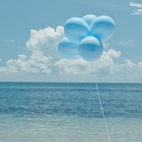 ������ͷ�� ��Ψ���⾳Ϊ����ͷ��