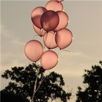 ������ͷ�� ��Ψ���⾳Ϊ����ͷ��