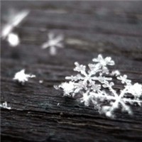 ������ͷ�� ��Ψ���⾳Ϊ����ͷ��