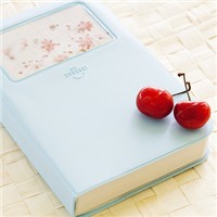 ������ͷ�� ��Ψ���⾳Ϊ����ͷ��