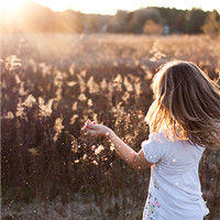 �ƻ���ϼ�������������˸��� Ψ���ƻ�ͷ��