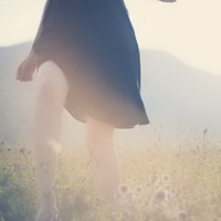 �ƻ���ϼ�������������˸��� Ψ���ƻ�ͷ��