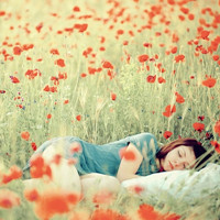 ������Ψ���⾳�е�ŷ��Ů��QQͷ��