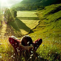 ������Ψ���⾳�е�ŷ��Ů��QQͷ��