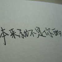 ��ԼΨ�����ָ���ͷ�� �ʺ����ռ�ͷ��