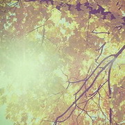 ����ɰ����⾳ �������͵�Ů��ͷ��