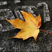 ����ɰ����⾳ �������͵�Ů��ͷ��