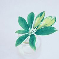 ����ɰ����⾳ �������͵�Ů��ͷ��