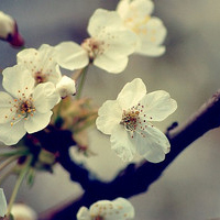 �����������Ƿ��ϲ������ͷ�� ������ϵ��