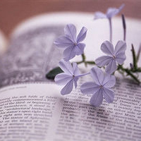 �����������Ƿ��ϲ������ͷ�� ������ϵ��