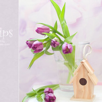 �����������Ƿ��ϲ������ͷ�� ������ϵ��