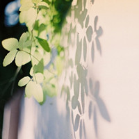 �����������Ƿ��ϲ������ͷ�� ������ϵ��