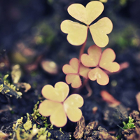 �����������Ƿ��ϲ������ͷ�� ������ϵ��