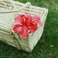 �����������Ƿ��ϲ������ͷ�� ������ϵ��