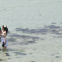 80���ž�ѡ����Ů��ͷ�� ����΢����