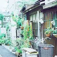 ����ЩС����QQͷ�� �������ǵ�����