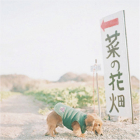 ����ЩС����QQͷ�� �������ǵ�����