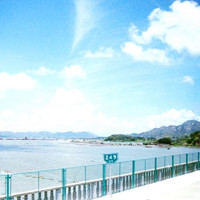 ����ЩС����QQͷ�� �������ǵ�����