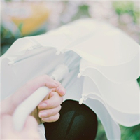 ����ЩС����QQͷ�� �������ǵ�����