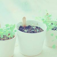 ����ЩС����QQͷ�� �������ǵ�����