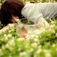 �ɰ���Ů��ͷ�� İС���������ͷ��