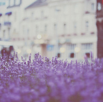 �������Ů��QQͷ�� Ψ�������⾳