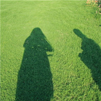 ���ַ���ܷ���Ϊ�⾳Ψ��Ů��ͷ��