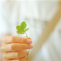 ��������Ů��ͷ����� ��ѡ���������