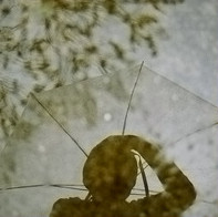 ��Ա������������Ψ��Ů��QQͷ��