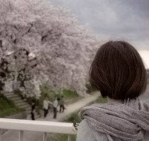 ��Ա������������Ψ��Ů��QQͷ��