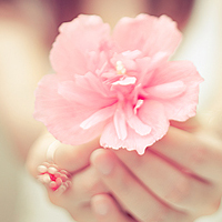 Ψ���ɰ�Ϊ���� ÿ�����ʳ�¯��Ů��ͷ��