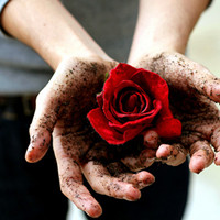 80�ż�Լ���Ů��ͷ�� ÿ�ܾ��ʾ���