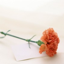 ��������QQͷ�� 