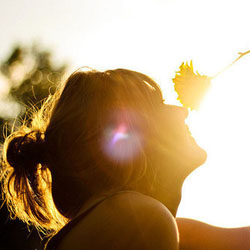 �������������Ҹ�,�������Ż��� 