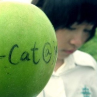 ��ʧ���Լ�,�˺�����Ļ��� 