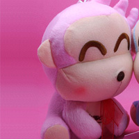 �������,�������ڰ�������� 