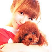 Ư�����������QQͷ�񡢴ӹ�������ʧȥֻ��δ��