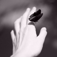 ��Щֻ�ǹ�����Ů��QQ���Ծ�̬ͷ��