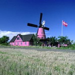 ��˼������Ϻ� ���Ƴ�������ͷ 