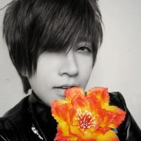 ���ɴ������������ 