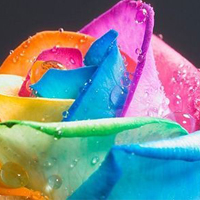 �Ҹ�����,�����Ű��뱻���ĸо� 