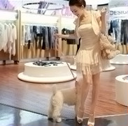 ���ķе�,�������ҵ��� 